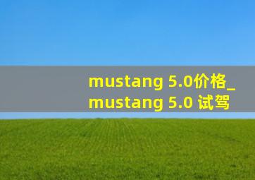 mustang 5.0价格_mustang 5.0 试驾